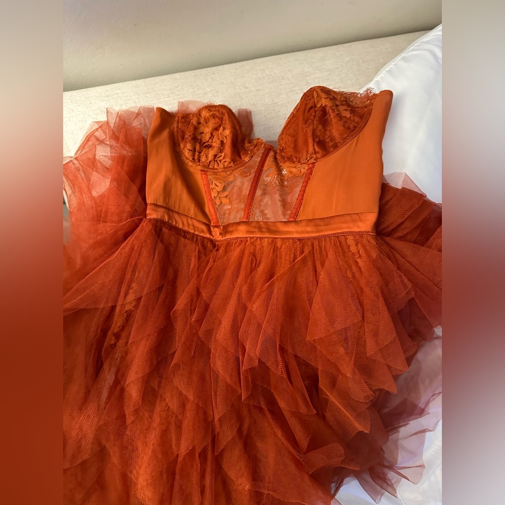 - For Love and Lemons Bustier Dress in Rust